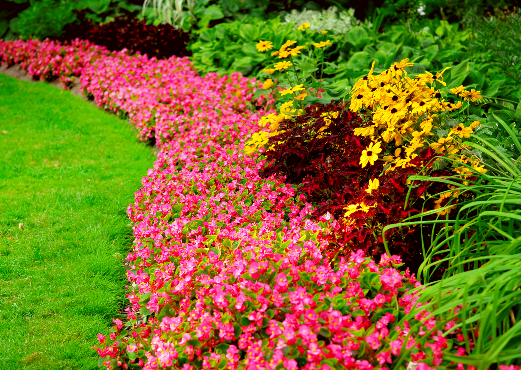 Servizi di giardinaggio