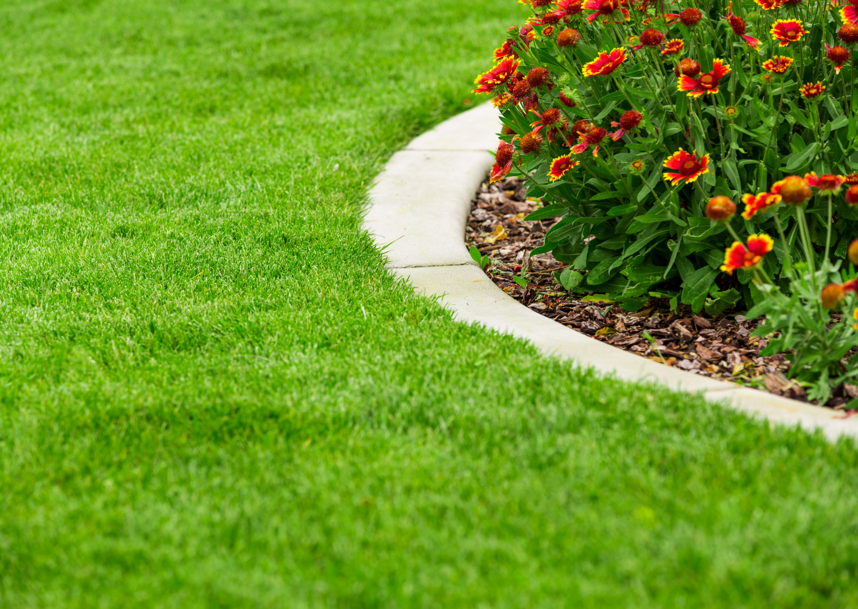 Servizi di giardinaggio